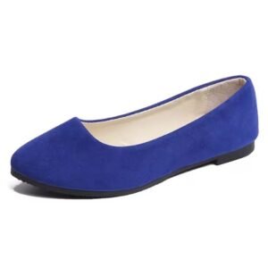 dark blue flats on the white background