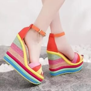 Colorful Wedges