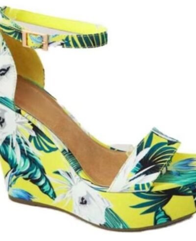 colorful jungle wedges on the white background