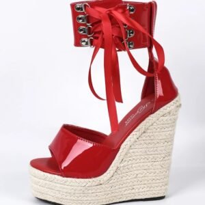 red wedges on the white background