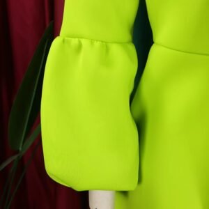 sleeve of green colorful dress with a bow