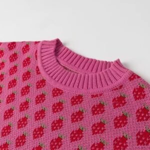 neck of colorful strawberry sweater on the white background