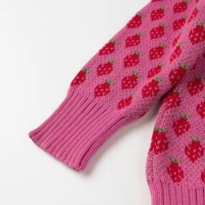 sleeve of colorful strawberry sweater on the white background