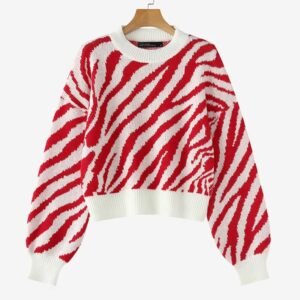 colorful zebra sweater on the white background