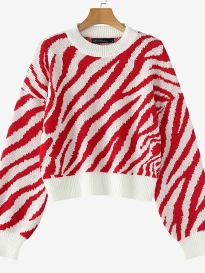 colorful zebra sweater on the white background
