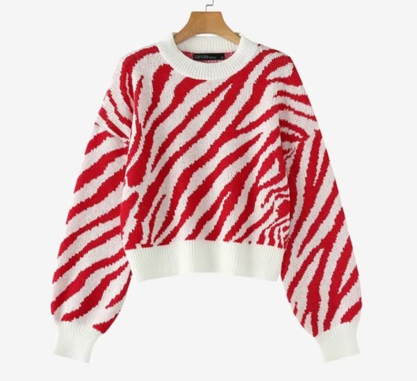 colorful zebra sweater on the white background