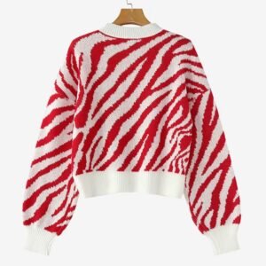 back view of colorful zebra sweater on the white background