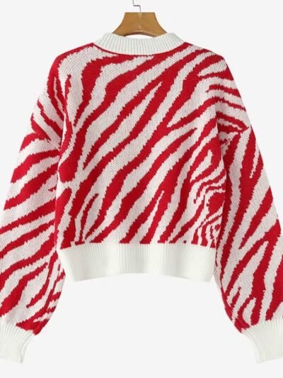 back view of colorful zebra sweater on the white background