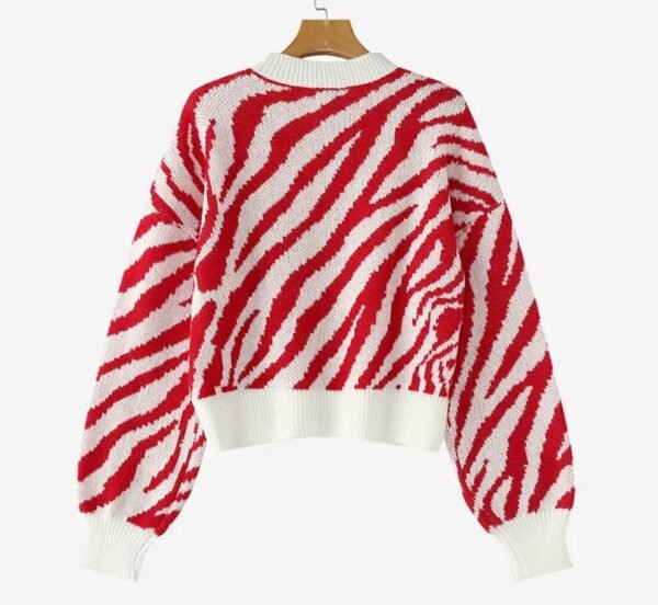 back view of colorful zebra sweater on the white background