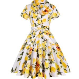 lemon colorful dress on the white background