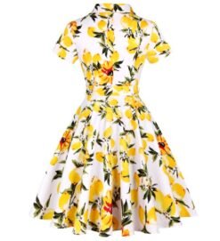 the backside of lemon colorful dress on the white background