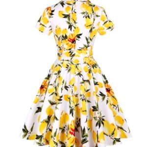 the backside of lemon colorful dress on the white background