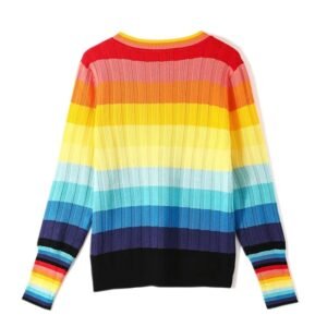 back view of rainbow sweater on the white background