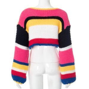 back view of stylish colorful sweater on a mannequin