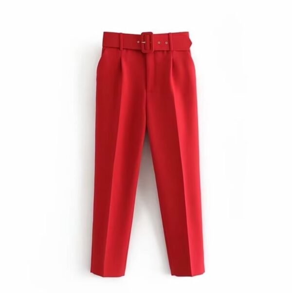 front view of red elegant colorful pants on the white background