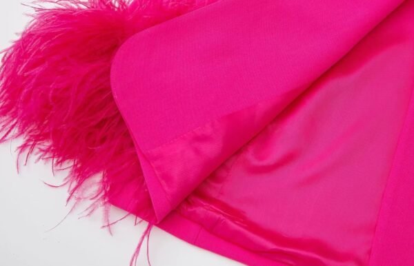 inner material of pink blazer with feathers