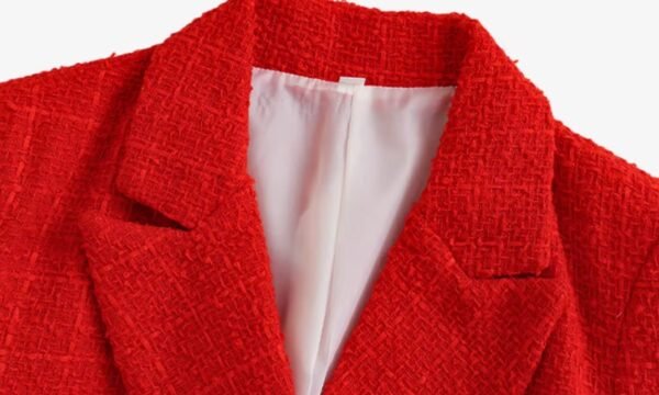 collar of red blazer