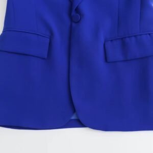 bottom part and the button of royal blue color blazer