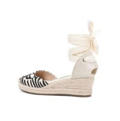 back view of colorful zebra wedges on the white background