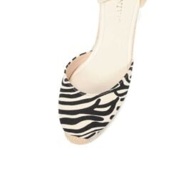 material of colorful zebra wedges on the white background