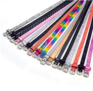 colorful belts including rainbow belt, silver belt, pink belt and orange belt on the white background