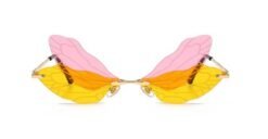 front view of colorful dragonfly sunglasses on the white background