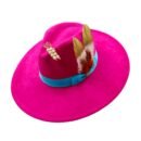 colorful hat with feathers on the white background