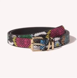 folded colorful snake skin belt on the white background